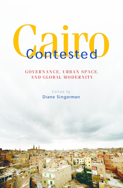 Cairo Contested, Diane Singerman