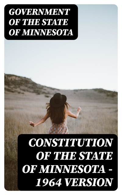 Constitution of the State of Minnesota — 1964 Version, Government of the State of Minnesota