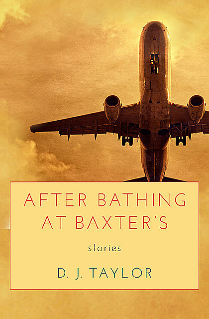 After Bathing at Baxters, D.J.Taylor
