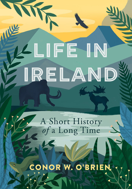 Life in Ireland, Conor O'Brien