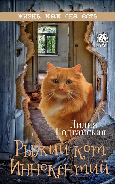 Рыжий кот Иннокентий, Лилия Подгайская