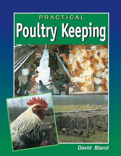 Practical Poultry Keeping, David Bland