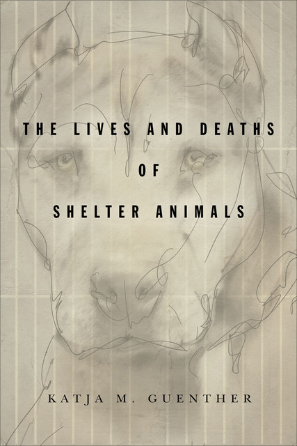 The Lives and Deaths of Shelter Animals, Katja Guenther