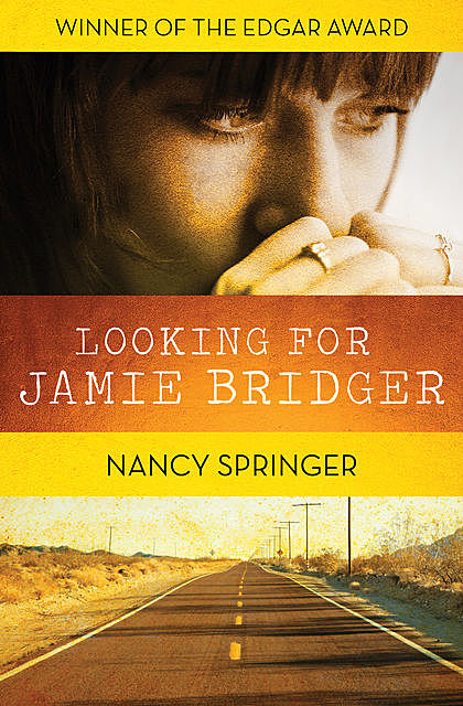 Looking for Jamie Bridger, Nancy Springer