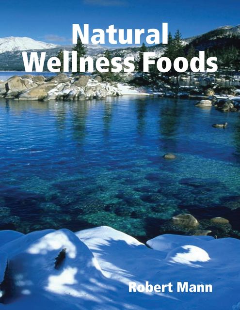 Natural Wellness Foods, Robert Mann