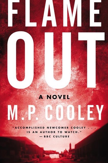 Flame Out, M.P. Cooley