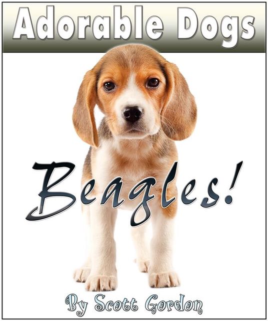 Adorable Dogs: Beagles, Scott Gordon