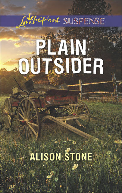 Plain Outsider, Alison Stone