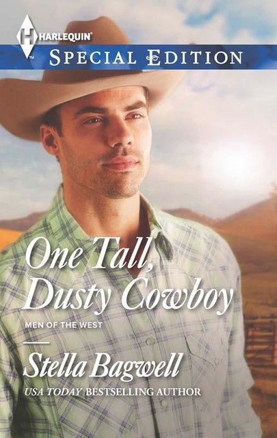 ONE TALL, DUSTY COWBOY, Stella Bagwell