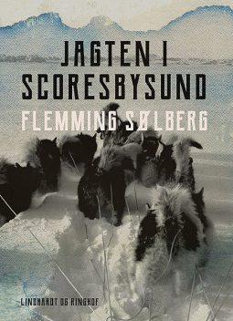 Jagten i Scoresbysund, Flemming Sølberg