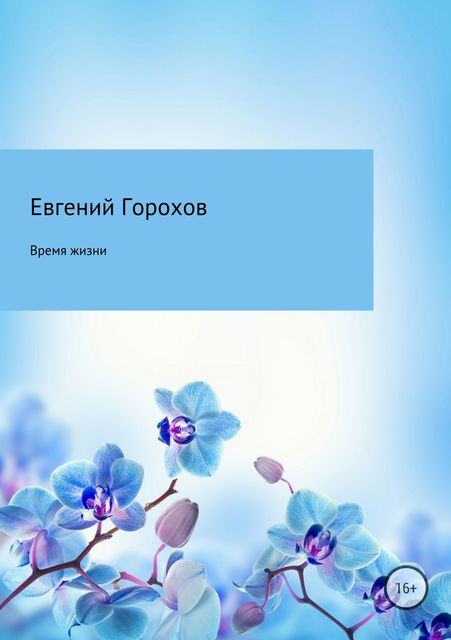 Время жизни, Евгений Горохов