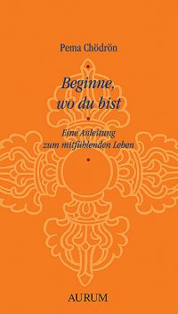 Beginne, wo du bist, Pema Chödrön