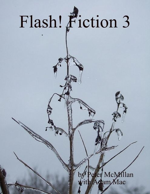 Flash! Fiction 3, Adam Mac, Peter McMillan