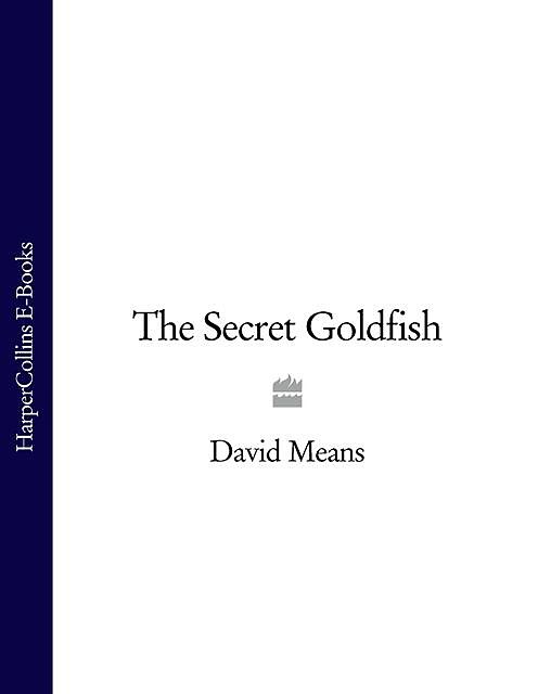 The Secret Goldfish, David Means