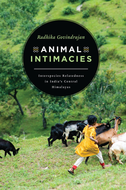 Animal Intimacies, Radhika Govindrajan