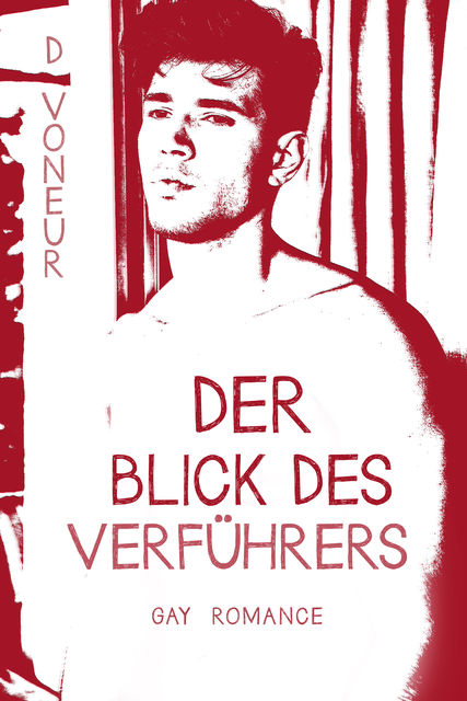 Der Blick des Verführers: Gay Romance, D. Voneur