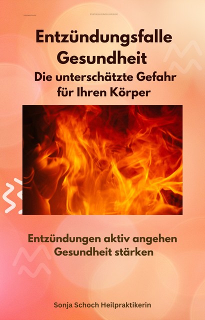 Entzündungsfalle Gesundheit – Die unterschätzte Gefahr für Ihren Körper, Sonja Schoch