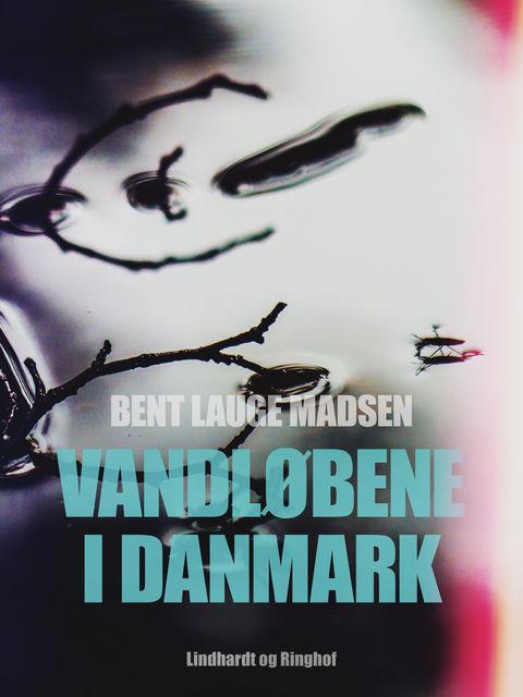 Vandløbene i Danmark, Bent Lauge Madsen