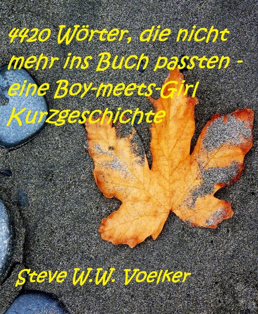 4420 Wörter, die nicht mehr ins Buch passten – eine Boy-meets-Girl Kurzgeschichte, Steve W.W. Voelker