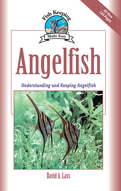 Angelfish, David A. Lass