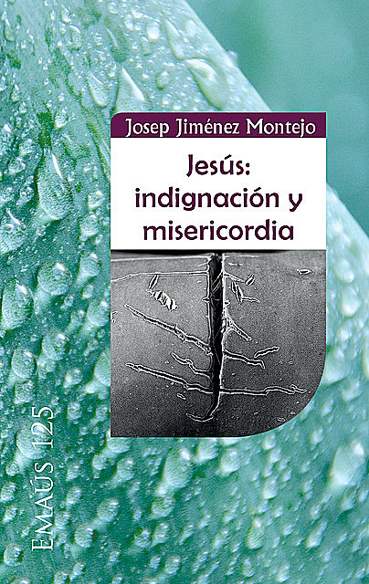 Jesús: indignación y misericordia, Josep Jiménez Montejo