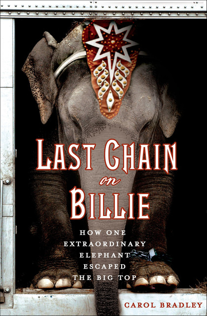 Last Chain on Billie, Carol Bradley