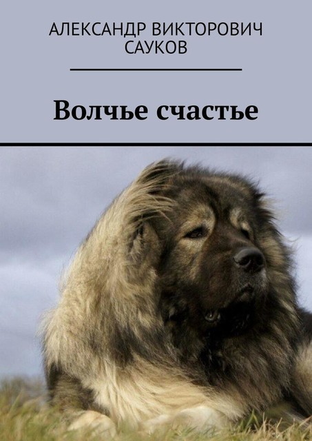 Волчье счастье, Александр Сауков