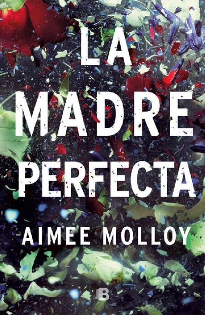 La madre perfecta (Spanish Edition), Aimee Molloy