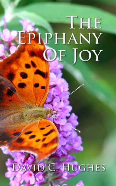 The Epiphany of Joy, David Hughes