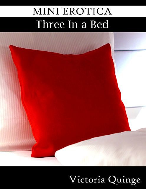 Mini Erotica – Three In a Bed, Victoria Quinge