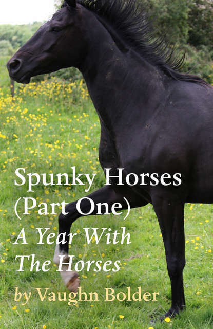 Spunky Horses (Part One) – A Year With The Horses, Vaughn Bolder