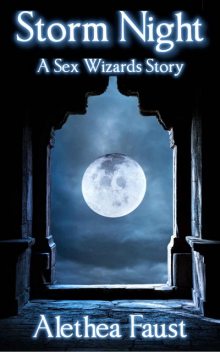 Storm Night: A Sex Wizards Story, Alethea Faust