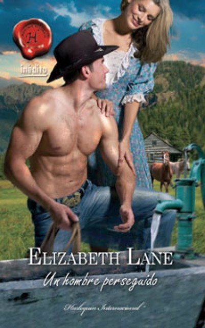 Un hombre perseguido, Elizabeth Lane