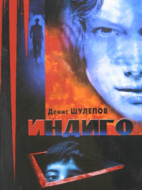 Индиго, Денис Шулепов
