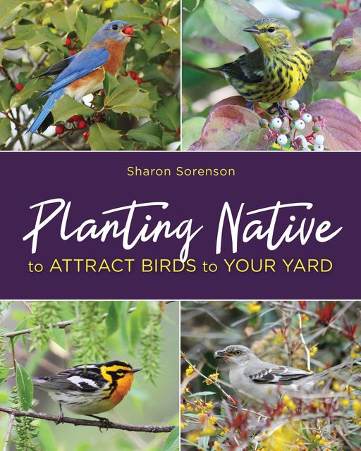 Planting Native to Attract Birds to Your Yard, Sharon Sorenson