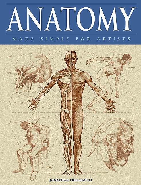 Anatomy Made Simple for Artists, Jonathan Freemantle