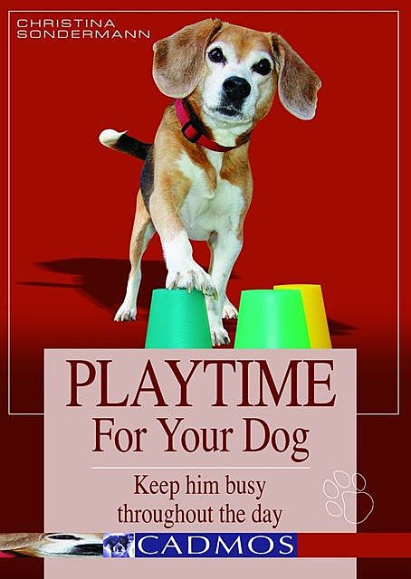 Playtime for your dog, Chistina Sondermann