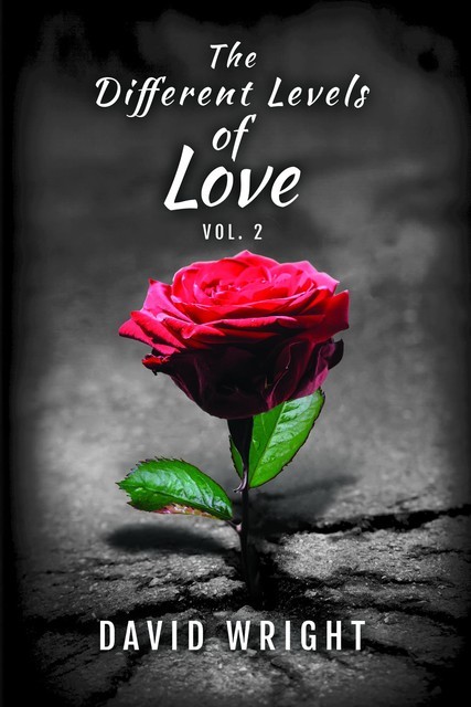 The Different Levels of Love, Volume 2, David Wright