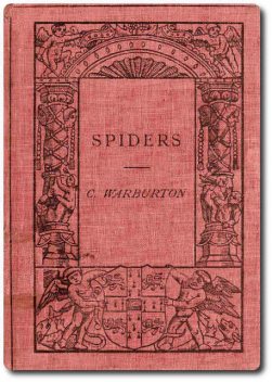 Spiders, Cecil Warburton