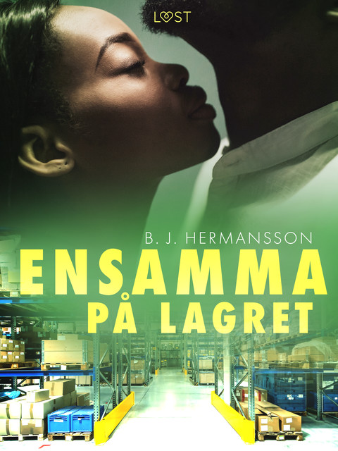 Ensamma på lagret – erotisk novell, B.J. Hermansson