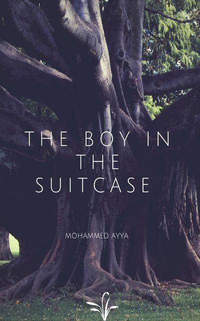 The Boy In The Suitcase, Mohammed Ayya