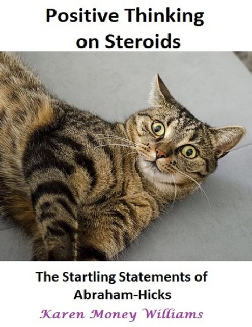 Positive Thinking On Steroids: The Startling Statements of Abraham Hicks, Karen Money Williams