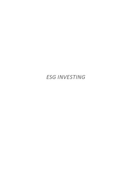 ESG Investing, João Amato Neto, Lucas Cardoso dos Anjos, Pedro Kenzo Jukemura, Yago Cavalcante