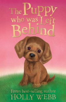 The Puppy who was Left Behind, Holly Webb