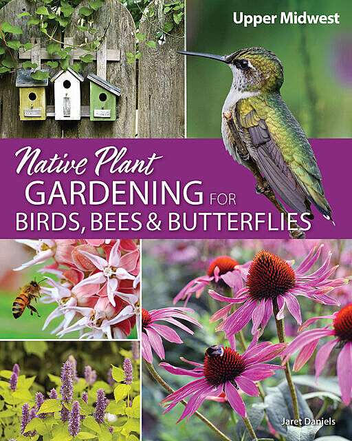 Native Plant Gardening for Birds, Bees, and Butterflies: Upper Midwest, Jaret C. Daniels