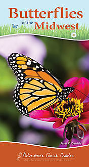 Butterflies of the Midwest, Jaret C. Daniels