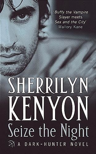 Seize the Night, Sherrilyn Kenyon
