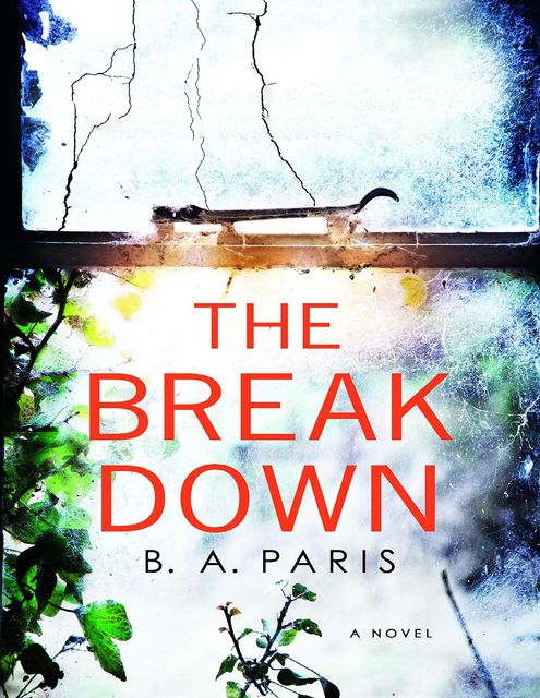 The Breakdown: The 2017 gripping thriller from the bestselling author of Behind Closed Doors, B.A. Paris