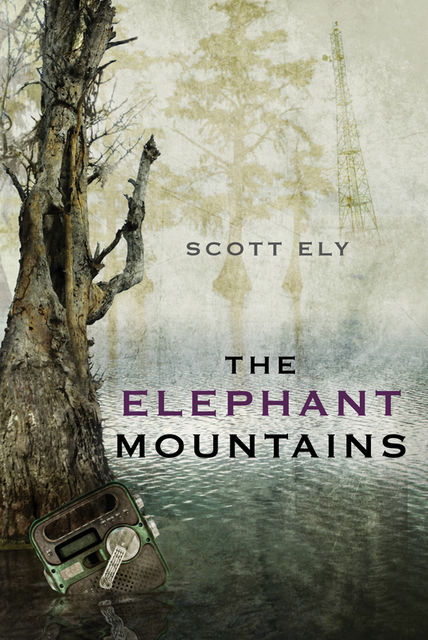 The Elephant Mountains, Scott Ely