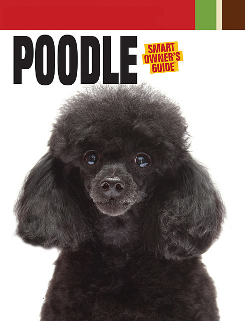 Poodle, Dog Fancy Magazine